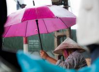 2012-07-04/Vietnam 0392 / Sous la pluie