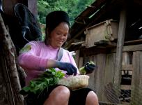 2012-08-07/Vietnam 1138 / Je cultive l'indigo