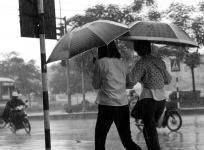 2012-07-04/Vietnam 0372 / Jeunes filles sous la pluie